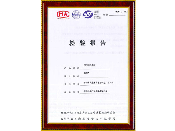 220KV鐵塔檢驗(yàn)報告